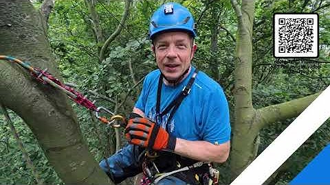 Tree-o-Cache 176 - Oliver in the Netherlands