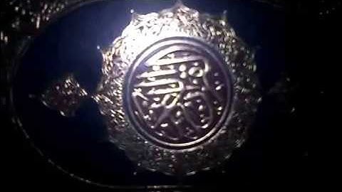 سورة الفجر بصوت عادل على