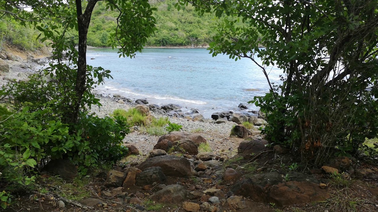 Walk from Chalet La Mar in Laborie, St. Lucia to rocky beach - YouTube
