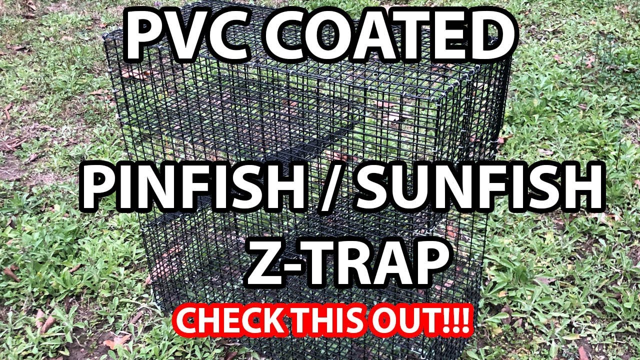 Pinfish Trap - “Z-Trap” - Bream - Perch Trap 