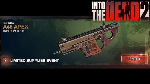 Into The Dead 2 - A45 Apex Event