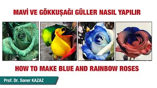 Mavi̇ Ve Gökkuşaği Güller Nasil Yapilir How To Make Rainbow Rose Güllerde Boyama Diy Rainbow Rose