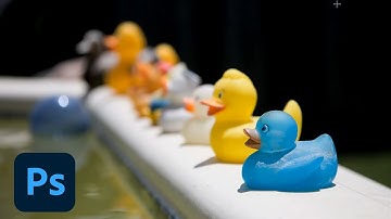 Photoshop Playbook: How to Blend Multiple Images with Different Depths of Field | Adobe Photoshop