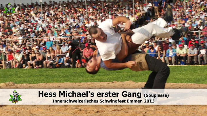 Hess Michael's Souplesse am ISV Emmen 2013