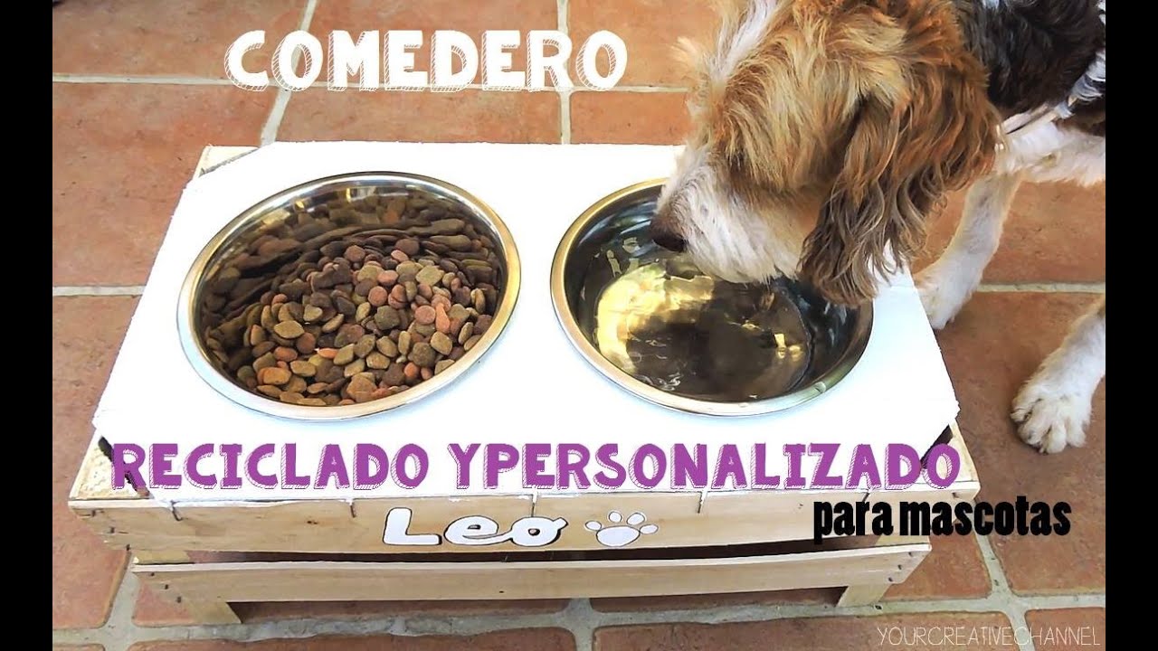 Comedero Elevado E Inclinable Para Mascotas | Personalizable Con Nombre, De Acero Inoxidable, Antideslizante