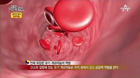 ĐÁ MAIFAN   TẬP ĐOÀN HAPPY DREAM