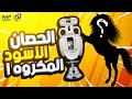 الحصان الأسود المكروه في اليورو ومعجزة 1992 من الشواطئ إلى التتويج كورنر الحكايات حلقة 2