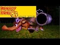 Donkey kong 64 jungle japes army dillo boss fight