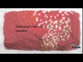 download naff seharusnya kita - inal salamander download naff seharusnya kita - inal salamander