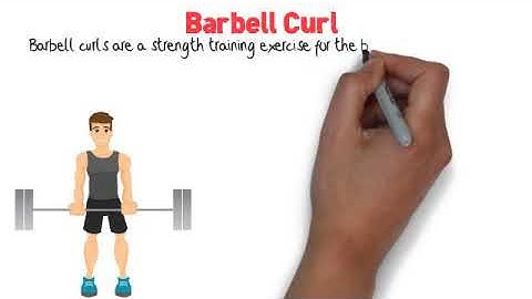 How To Barbell Bicep Curl | The  Golden Rules