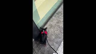 At My Favorite Place- The Outdoor Mall