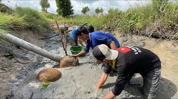 Tát Ao Bắt Cá | Hunting | - TT1638