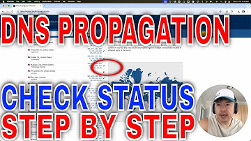 ✅ Hoe u de DNS-propagatievertraging kunt controleren🔴