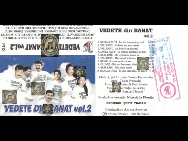 Vedete Din Banat Vol 2 (1999) class=