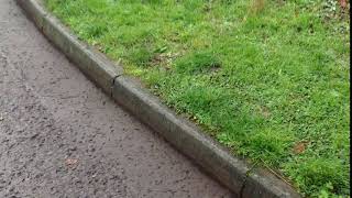 Archive: Johnston Sweeper Demonstration