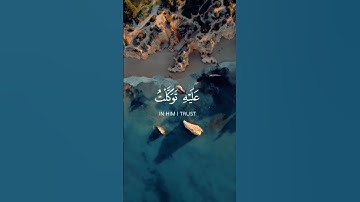 { وما توفيقي إلا بالله عليه توكلت وإليه أنيب } #ماهر_المعيقلي #سورة_هود