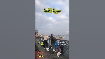 آيات من سورة الجمعة بصوت القارئ الشيخ عبد الرحمن العبد القادر