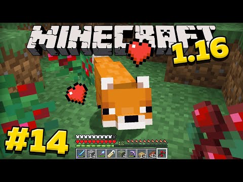 Майнкрафт 1.16 Выживание без модов! Как приручить лису в minecraft? #14