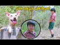 Street dog talking with shakthi rithvik funny scene  tfc hit scenes