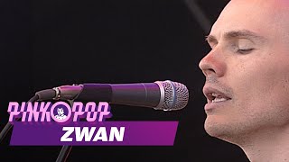 Zwan - Full Concert [HD] | Live at Pinkpop 2003