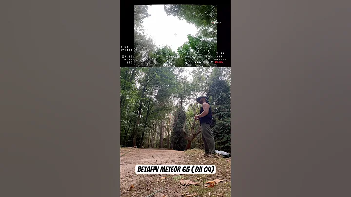 BetaFPV Meteor 65 with DJI 04 and missing antenna!