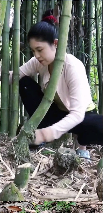 tik tok lucu