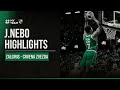 Josh Nebo highlights | Zalgiris - Crvena Zvezda | 2022.04.03