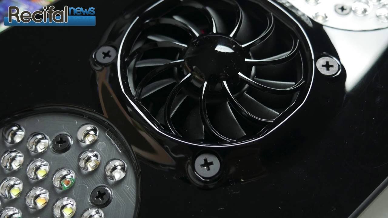 présentation ecotech marine radion