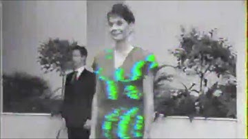 The Delay In The Universal Loop - "Texan Daylight" [ Video ]