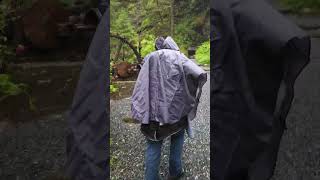 Gold Creek Salmon bake excursion #quantumoftheseas #royalcaribbean #Alaska