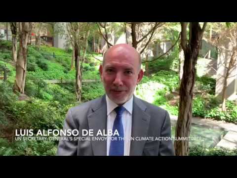 Join the Trees in Cities Challenge - UN Climate Action Summit Special Envoy de Alba
