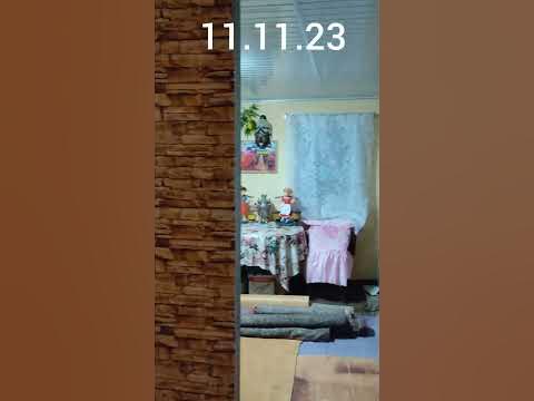 Дача в ноябре #короткие_видео #дачныйдомик #дача #дачныйучасток #ноябрь ...