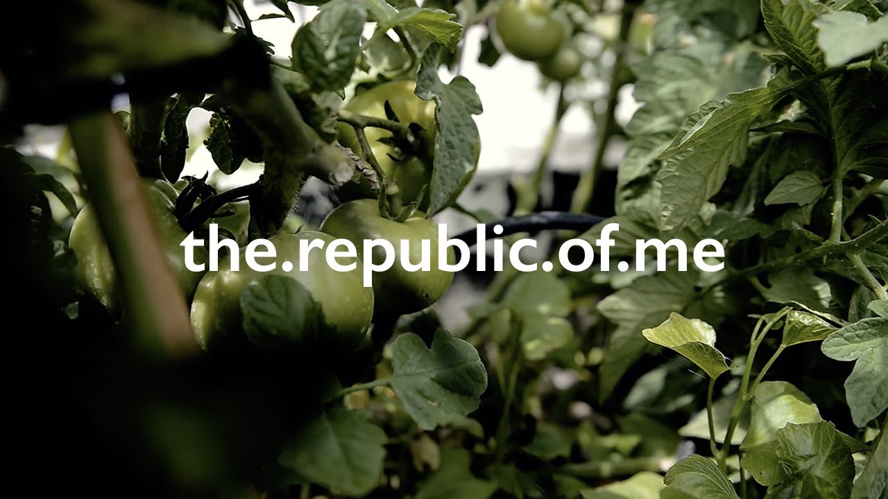 Back from our travels / the republic of me knitting podcast and lifestyle vlog