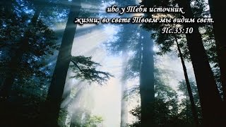 Алексей Коломийцев в Красноярске. 7 часть. Духовная зрелость.