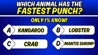 Animals & Birds Quiz 🐦 | 50 Wildlife Questions (Easy → Hard) | Wisdom Mints screenshot 4