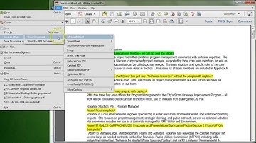Adobe Acrobat XI: Export to Microsoft Word
