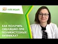 ⌛ Как получить овуляцию при поликистозных яичниках?