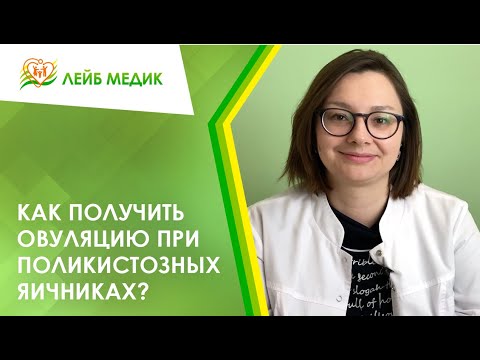 ⌛ Как получить овуляцию при поликистозных яичниках?