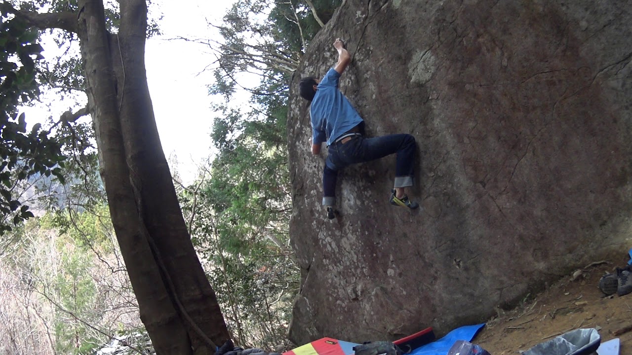 ネリンガ 【フクベ】 YouTube