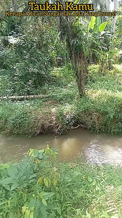 Kenapa Sungai Tak Ada Yang Lurus? Taukah Kamu//
