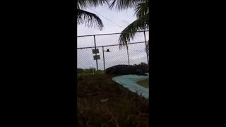Close Call With A Crocodile || ViralHog