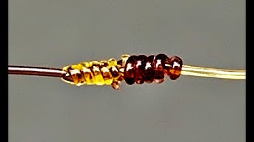 How To Tie a Leader To Fishing Line - Fishing Knots - Cách Nối Dây Câu Cá