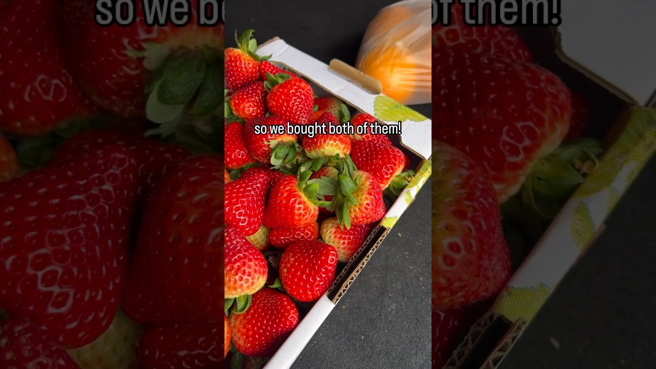 Sunday Vlog | Life in Western Australia | Syiok Kopitiam | Wanneroo Markets | Strawberry Farm 🍓