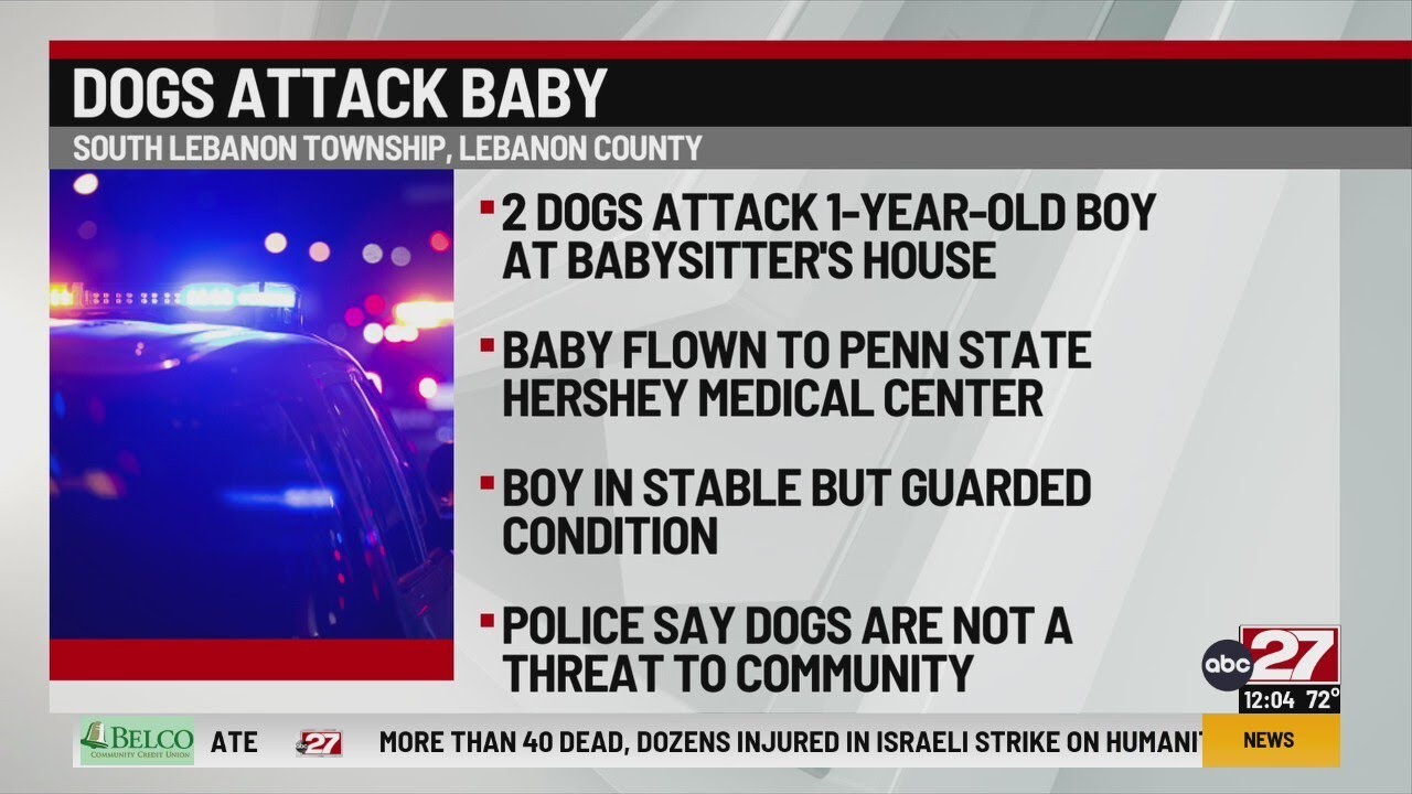 Toddler attacked by dogs at babysitter’s home in Lebanon County - YouTube