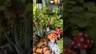Miniature garden with Jade cuttings. #jade #plants #balconygarden #balcony #diy #miniaturegarden