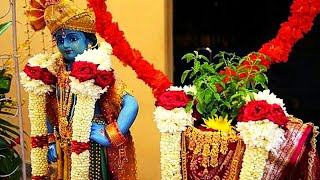 Tulsi Vivah WhatsApp Status | New Tulsi Vivah Status | Tulsi Vivah song | तुळशी विवाह | तुलसी विवाह