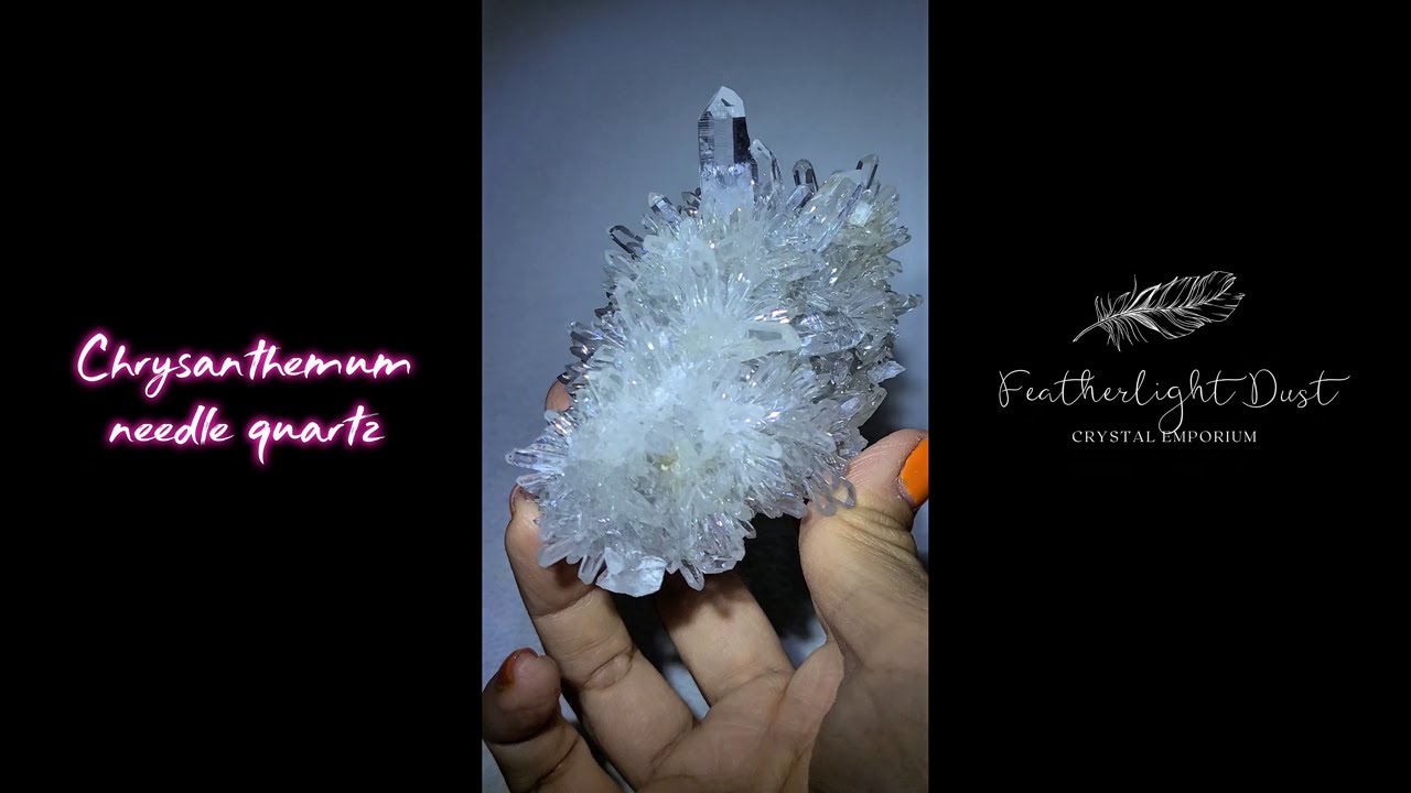 Chrysanthemum needle quartz cluster with statement point - CQ475