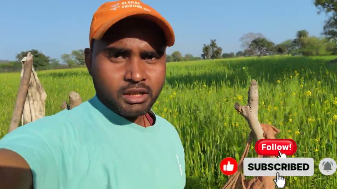 My new vlog farmer village video acchi lagi ho to like comment subscribe jarur Karen guys 🥰🙏