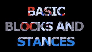 Taekwondo Basic Blocks and Stances of Spirit 1 Taekwondo Academy