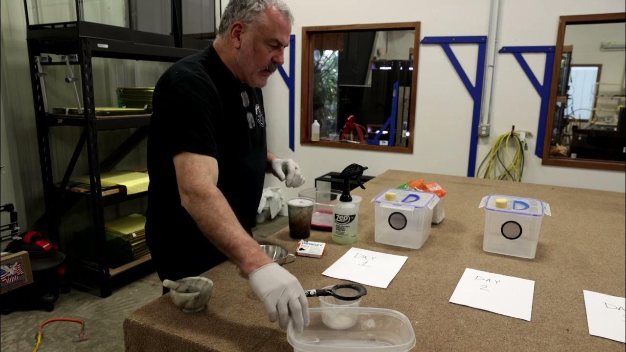 How to Treat Your Frogs for Parasites/Worms YouTube